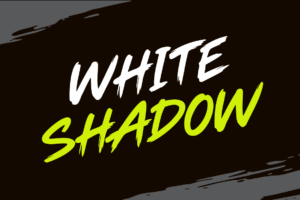 Raves Dynamic Sports Brush Font